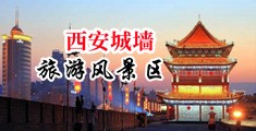 白虎穴嫩视频中国陕西-西安城墙旅游风景区